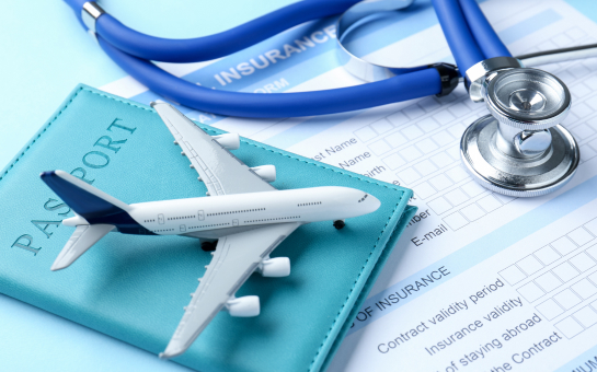 What is Visitors Insurance?